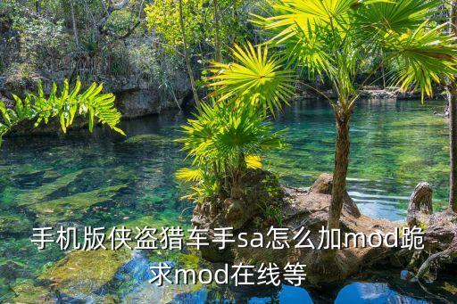 手机版侠盗猎车手sa怎么加mod跪求mod在线等