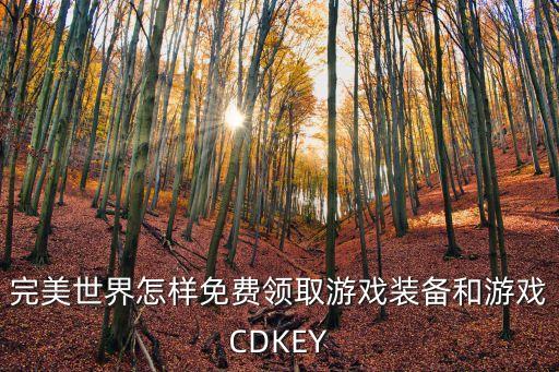 完美世界怎样免费领取游戏装备和游戏CDKEY