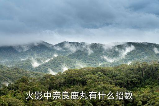 火影中奈良鹿丸有什么招数