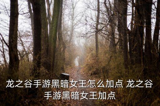 龙之谷手游暗影之王怎么加点，龙之谷手机加点器
