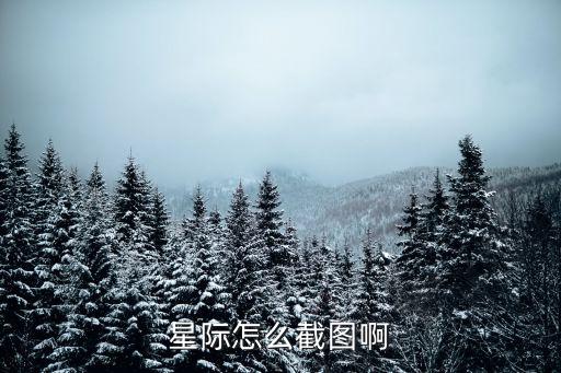星际怎么截图啊