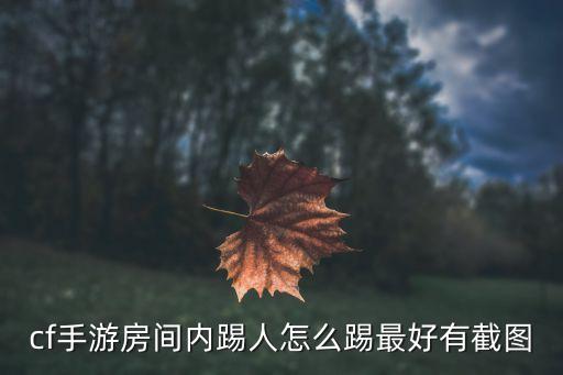 cf手游房间内踢人怎么踢最好有截图