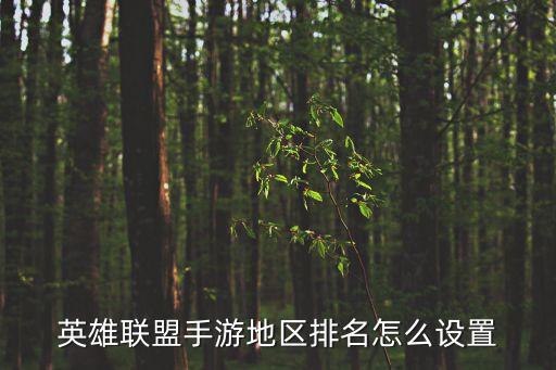 英雄联盟手游地区排名怎么设置
