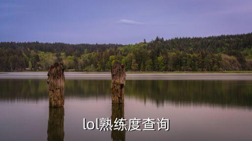 lol手游怎么查队友熟练度，lol熟练度查询