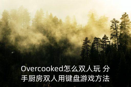 Overcooked怎么双人玩 分手厨房双人用键盘游戏方法