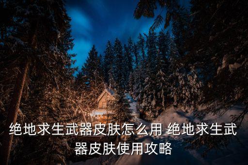绝地求生武器皮肤怎么用 绝地求生武器皮肤使用攻略