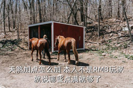 天煞加点怎么加 本人不是RMB玩家 就说哪些点满就够了