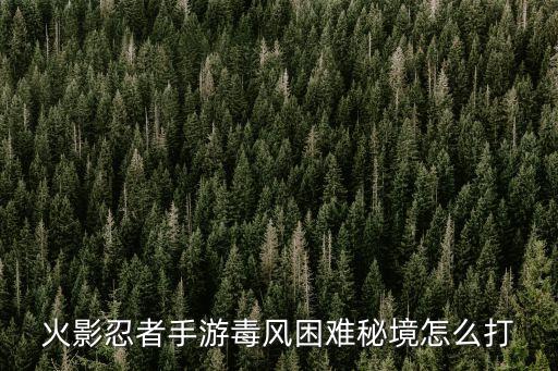 火影忍者手游毒风困难秘境怎么打