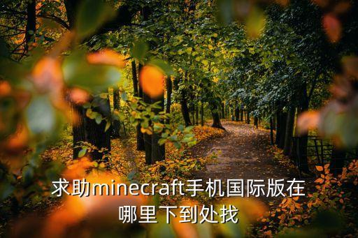 求助minecraft手机国际版在哪里下到处找