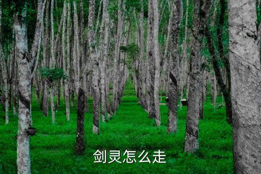 剑灵怎么走