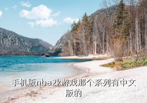 nba2k20手游安卓怎么下中文，手机游戏版的NBA2k系列游戏在那能下载中文版的
