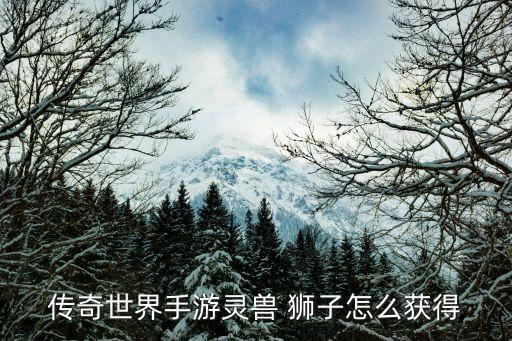 传奇世界手游灵兽狮子怎么获得，手游传奇世界灵兽战天狂狮怎么获得