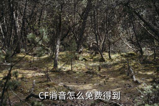 CF消音怎么免费得到