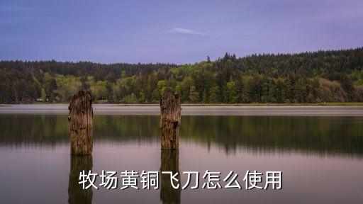 牧场黄铜飞刀怎么使用