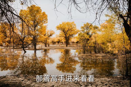 手游塞纳怎么出装备，YDPVP高手进