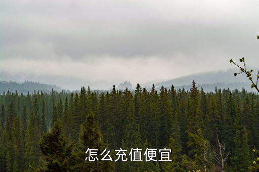 怎么充值便宜