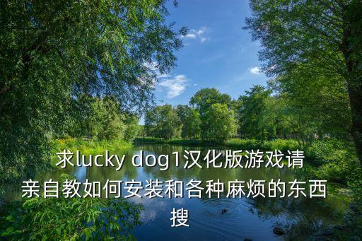 求lucky dog1汉化版游戏请亲自教如何安装和各种麻烦的东西  搜