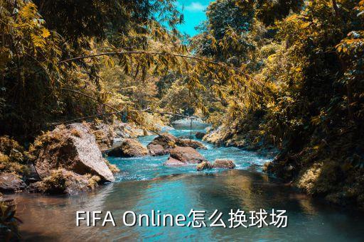 手游fifa怎么设置球场，FIFA13 哪里改球场大小