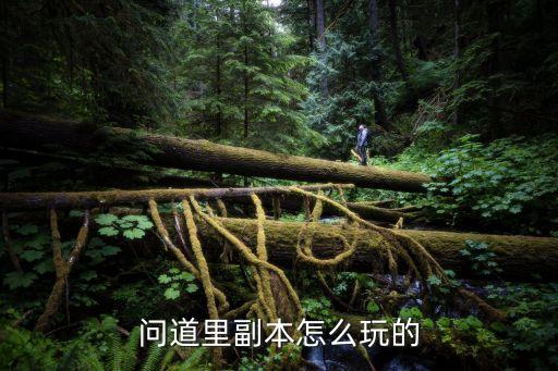 问道手游副本模式怎么用，问道手游的游戏里面七杀阵副本怎么玩呢