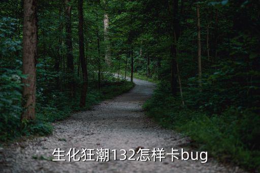 生化狂潮132怎样卡bug