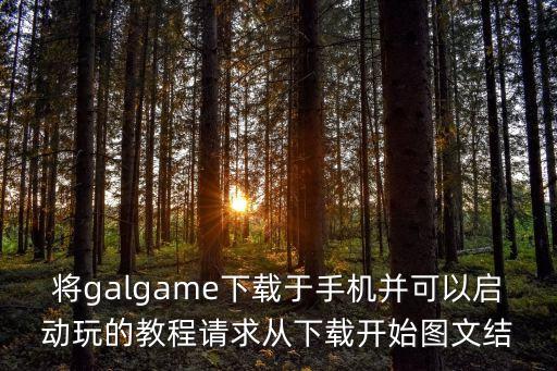 将galgame下载于手机并可以启动玩的教程请求从下载开始图文结