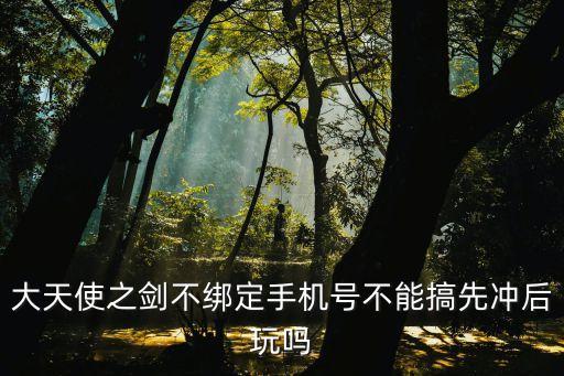 大天使之剑不绑定手机号不能搞先冲后玩吗