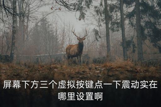 屏幕下方三个虚拟按键点一下震动实在哪里设置啊