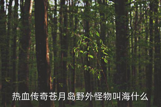 热血传奇苍月岛野外怪物叫海什么