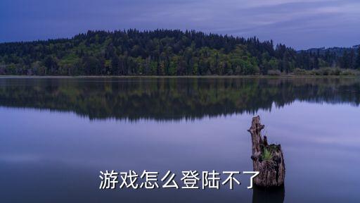 游戏怎么登陆不了