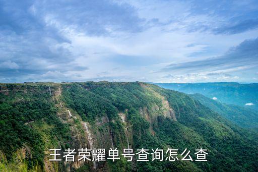 王者荣耀单号查询怎么查