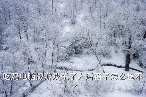 电脑手游版吃鸡怎么捡东西，电脑版qq游戏的吃鸡为什么f不能捡物品