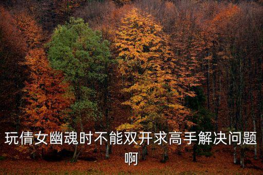 倩女幽魂手游双开黑屏怎么办，玩倩女幽魂时不能双开求高手解决问题啊