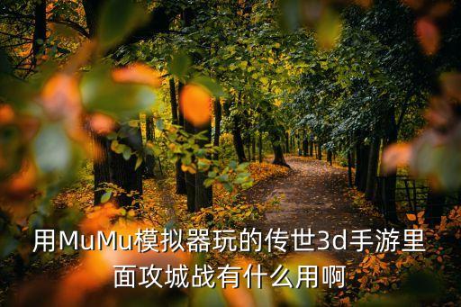 用MuMu模拟器玩的传世3d手游里面攻城战有什么用啊
