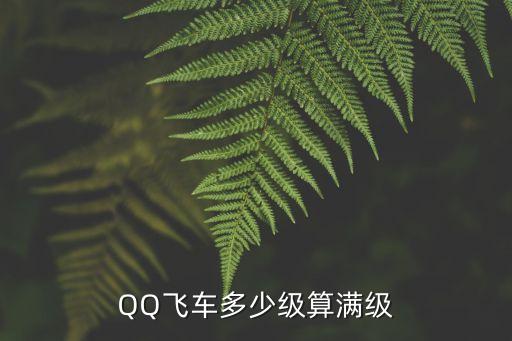 QQ飞车多少级算满级