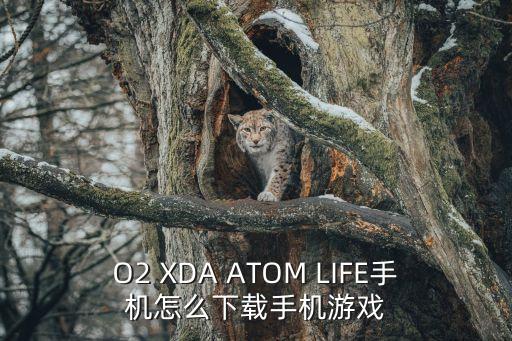 O2 XDA ATOM LIFE手机怎么下载手机游戏