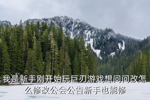 我是新手刚开始玩巨刃游戏想问问改怎么修改公会公告新手也能修