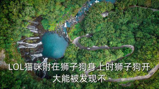 LOL猫咪附在狮子狗身上时狮子狗开大能被发现不