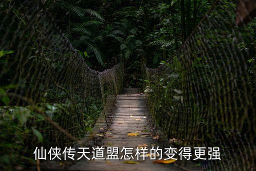 仙侠传天道盟怎样的变得更强