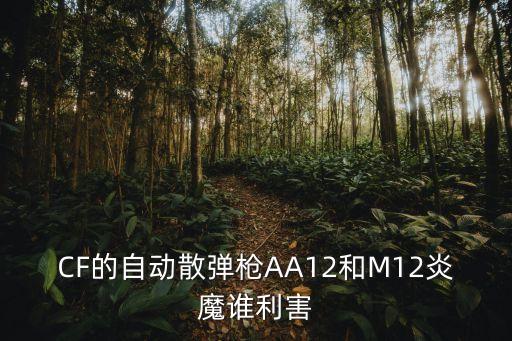 CF的自动散弹枪AA12和M12炎魔谁利害