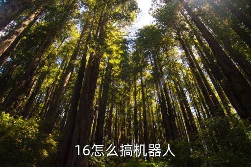 16怎么搞机器人
