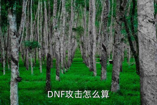 DNF攻击怎么算