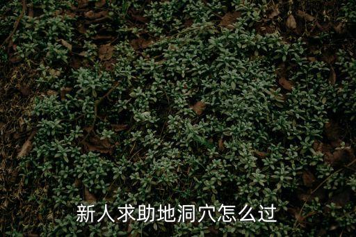 新人求助地洞穴怎么过