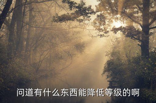 问道手游80级怎么降级到79，问道游戏从70到80级如何在1天内升到80级