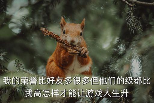 我的荣誉比好友多很多但他们的级都比我高怎样才能让游戏人生升