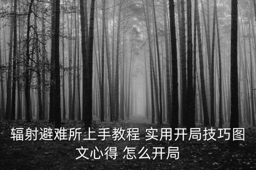 辐射避难所上手教程 实用开局技巧图文心得 怎么开局