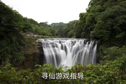 寻仙手游隐龙谷怎么打，寻仙游戏指导