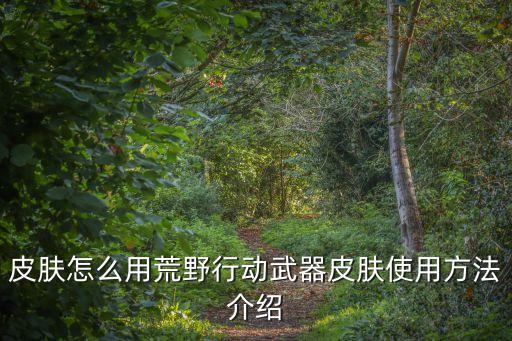 af手游武器皮肤怎么使用，皮肤怎么用荒野行动武器皮肤使用方法介绍