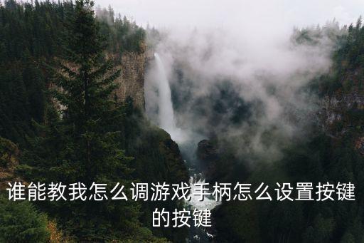 谁能教我怎么调游戏手柄怎么设置按键的按键