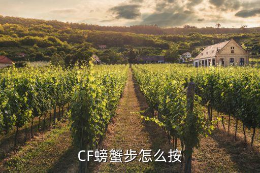 CF螃蟹步怎么按