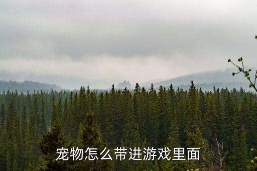 宠物怎么带进游戏里面